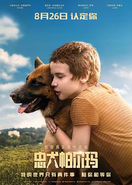 忠犬帕尔玛[国语版]